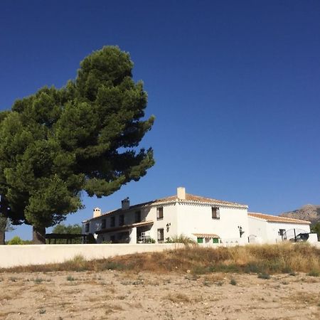 B&B Cortijo El Ciruelo Chirivel Exterior photo